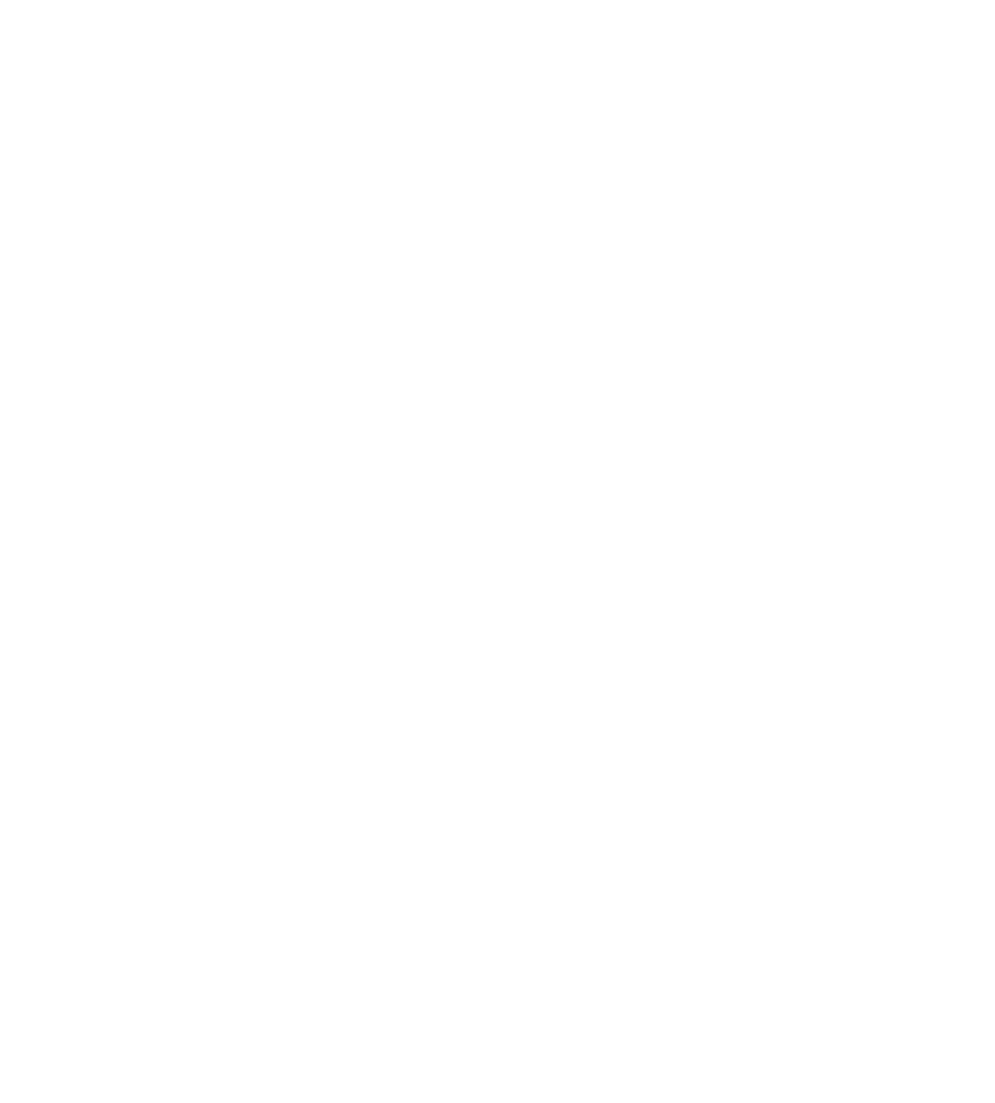 VN Logo